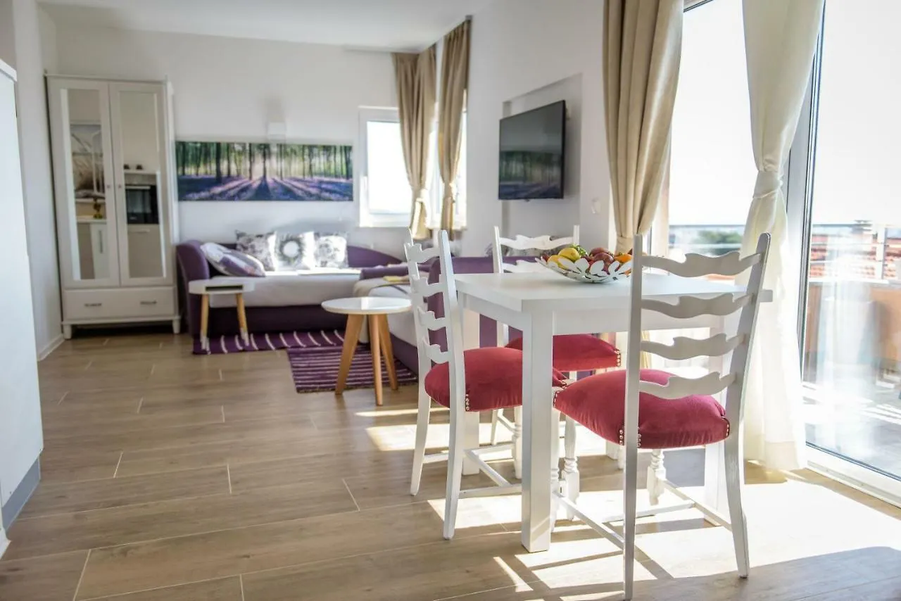 Apartment Villa Vesna In Zadar